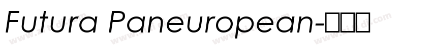 Futura Paneuropean字体转换